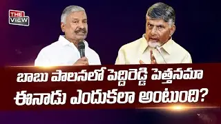 Mango Farmers in Crisis: AP Govt Fails, Media Blames YSRCP Again?