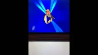 Shiny fletchling evolves!
