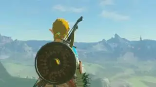 Zelda Birthday
