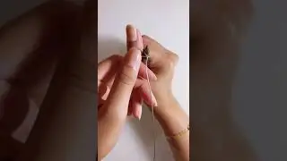 Super cute shell necklace tutorial 🏖🐚 - Jewelry Collection 📿💎