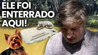 Voltei a Cambuí… esse lugar guarda uma parte da minha história | VLOG 2