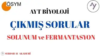 2018-2024 AYT BİYOLOJİ SOLUNUM ÇIKMIŞ SORULAR + PDF