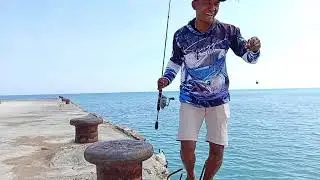 The Strongest Pull Ever! Monster Fish on the Line