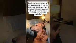 Kiedy imieniny żony lekko się przedłużyły 😂 #śmieszne #dlaciebie #memy #humor #shorts #wujciobimba