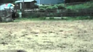 Fox Run Farm Speed Event