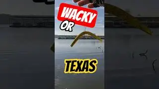 HELP,  I suck at winter fishing | #Fish
