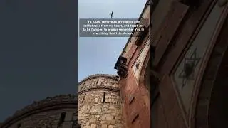 Ameen ya Rab😭#shorts #viral #shortsfeed #ytshorts #humphilic #hadeethoftheday #islamicstatus #vdeo