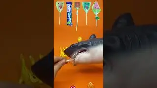 shark mukbang candy