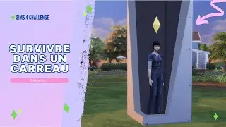 Sims 4 challenge : SURVIVRE DANS 1 CARREAU, c'est possible ?