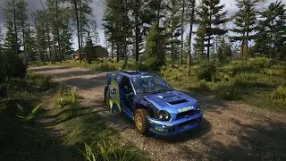 WRC: A lesson in patience