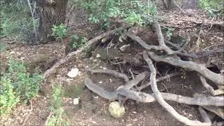 Reading Psalm 121:1-2 and Seeing Nature and a Nature Center