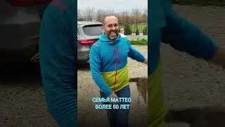 MATTEO SCANDOLA - клубничный эксперт, руководитель кооператива Aurora Frut из Вероны