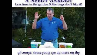 The solution to a needy garden - Less time in the garden & the bugs don't like it!