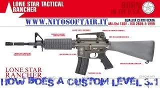 NitoSoftair.it Realizzazione Custom L3.1