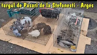 Viața la țară - Târgul de păsări și animale de la Stefănești- Argeș - ianuarie 2026