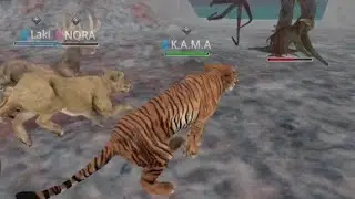 Wild animals online Monster field part 3: Ent Tree battle (Black Friday)