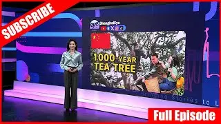 Hidden Jungle Adventure to Jingmaishan, Yunnan EP8