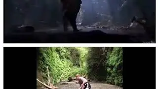 Go on a Ranger Trek to Fern Canyon in Redwood Natl Park where a scene from Jurassic Park was filmed