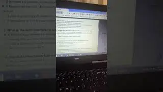 #HOW TO #EARN POSSIBLE 100-$1000 BLESS.NETWORK;HOW TO ANSWER QUIZ ON #BLESSNETWORK #AIRDROP #crypto