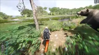 SCUM: Oh it's a Bear!