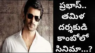 Prabhas updates!Saaho updates!Prabhas next movie!Prabhas with Murugadoss!Prabhas Bollywood