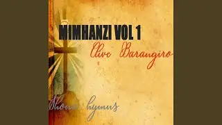 Ishe Ndinzwe Nokufara