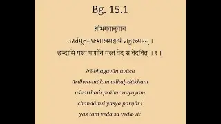 BG 15.1 The Yoga of the Supreme Person (Raman) BG 15.1 पुरुषोत्तम योग