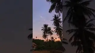 golden hour timelapse