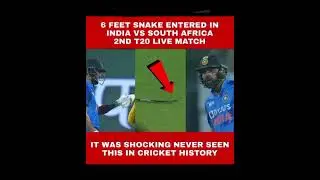 6feet snake entered in ground 🎊#t20worldcup #shorts #cricket #india #indiavssouthafrica