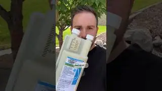 Part 1 - The vast majority of people can do their own pest control. #pestcontrol #diy #ants #home