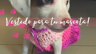 Vestido para perrita a crochet tutorial paso a paso