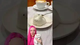 готую КОТОПУДИНГ🙉 цікаво чи вийде) #cat #chinesefood #pudding #unboxing