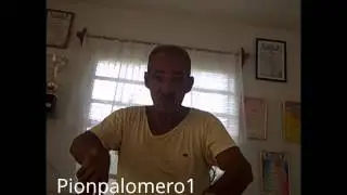 Mete Mete. Sobre el robo de palomas.