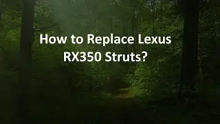 How to Replace Lexus RX350 Struts?