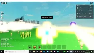 Roblox Island/skyblox parkour for normal spell book XD.