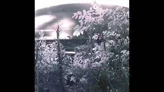 rylsblaze - Coated in Silver Arms