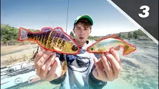 Fishing GIANT Swimbaits in Crystal Clear River│Devils River Series Pt. 3