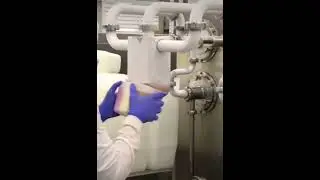 Behind the Scenes: Manual Ice Cream Packaging at the Factory #IceCreamFactory, #ManualPackaging,