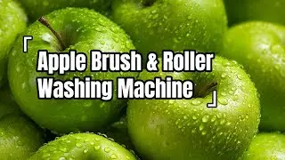 See How Industrial Apple Pear Peach Washing Machine Work