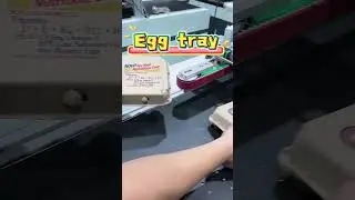 CSJ one pass digital printer for egg tray printing#csj #cmyk#digitalprinter #printing#eggtray