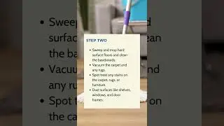 The Maids - New Year Cleaning Plan