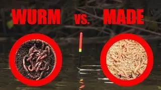 WURM vs. MADE I Was fängt im Winter besser?