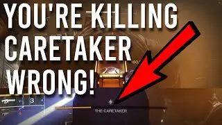 How to Optimise Caretaker DPS - The Witch Queen | Destiny 2