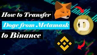 Dogecoin Tutorial | How to Transfer DogeCoin from Metamask to Binance | Fast Method
