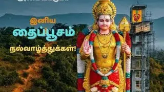 💥🦚THAI  POOSAM💥🦚தை பூசம்🦚💥