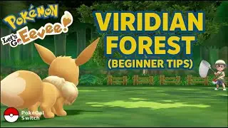 5 Things to do BEFORE leaving Viridian Forest - Pokémon Let's Go