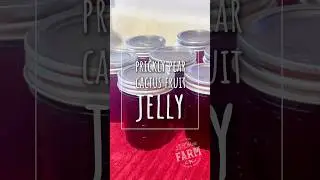 How to make Prickly Pear Jelly from Prickly Pear Cactus Fruits&hellip;