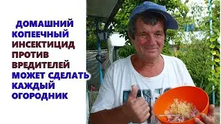 Домашний копеечный инсектицид против вредителей сада и огорода может сделать каждый огородник