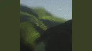 Open Fields