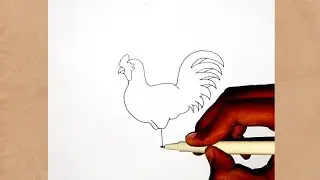 How to draw a cock 🎨✍️|step 🪜 by step 🪜|viral drawing 